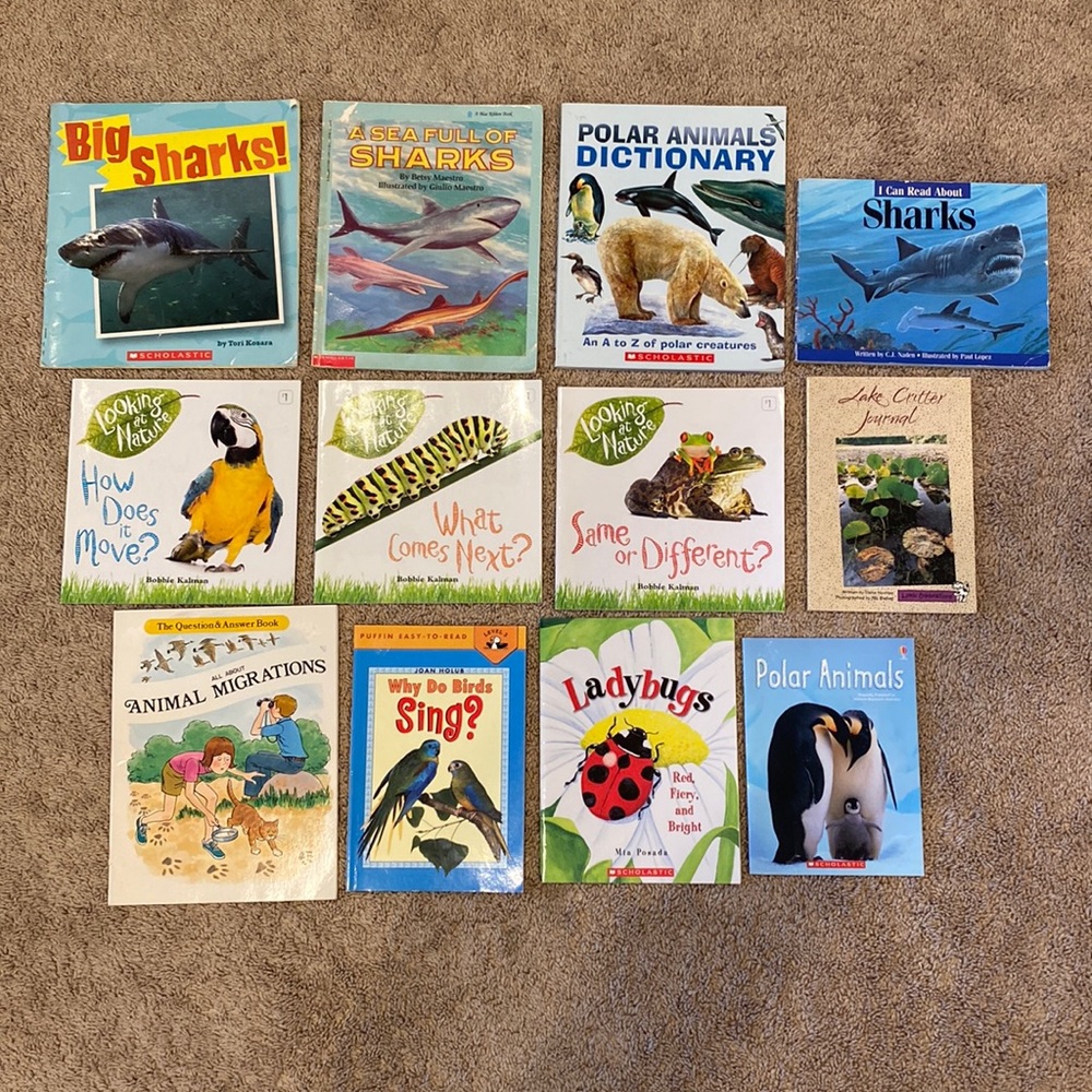Kids Animals Books Lot